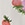 Show BERRY BEST CHAMPAGNE for Product
