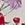 Show RHAPSODY FLORAL SUGAR for Product
