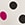 Show FANCIFUL DOT CHAMPAGNE for Product
