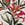 Show LE TIGRE TROPIC PARCHMENT for Product