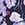 Show BLOOM BRIGHTLY NAVY for Product