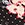 Show Dotted Floral Black for Product