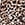 Show Cheetah Print for Product