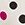 Show FANCIFUL DOT CHAMPAGNE for Product