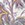 Show FLOURISH FLORAL G CHAMP for Product