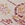 Show STITCH PAISLEY M CHAMP for Product