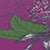 Show Jungle Floral Mini Purple for Product