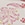 Show STITCH PAISLEY M CHAMP for Product