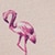 Show Flamingos Micro Porcelain for Product