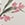 Show LE TIGRE FLORA MINI CH for Product