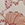 Show STITCH PAISLEY M CHAMP for Product