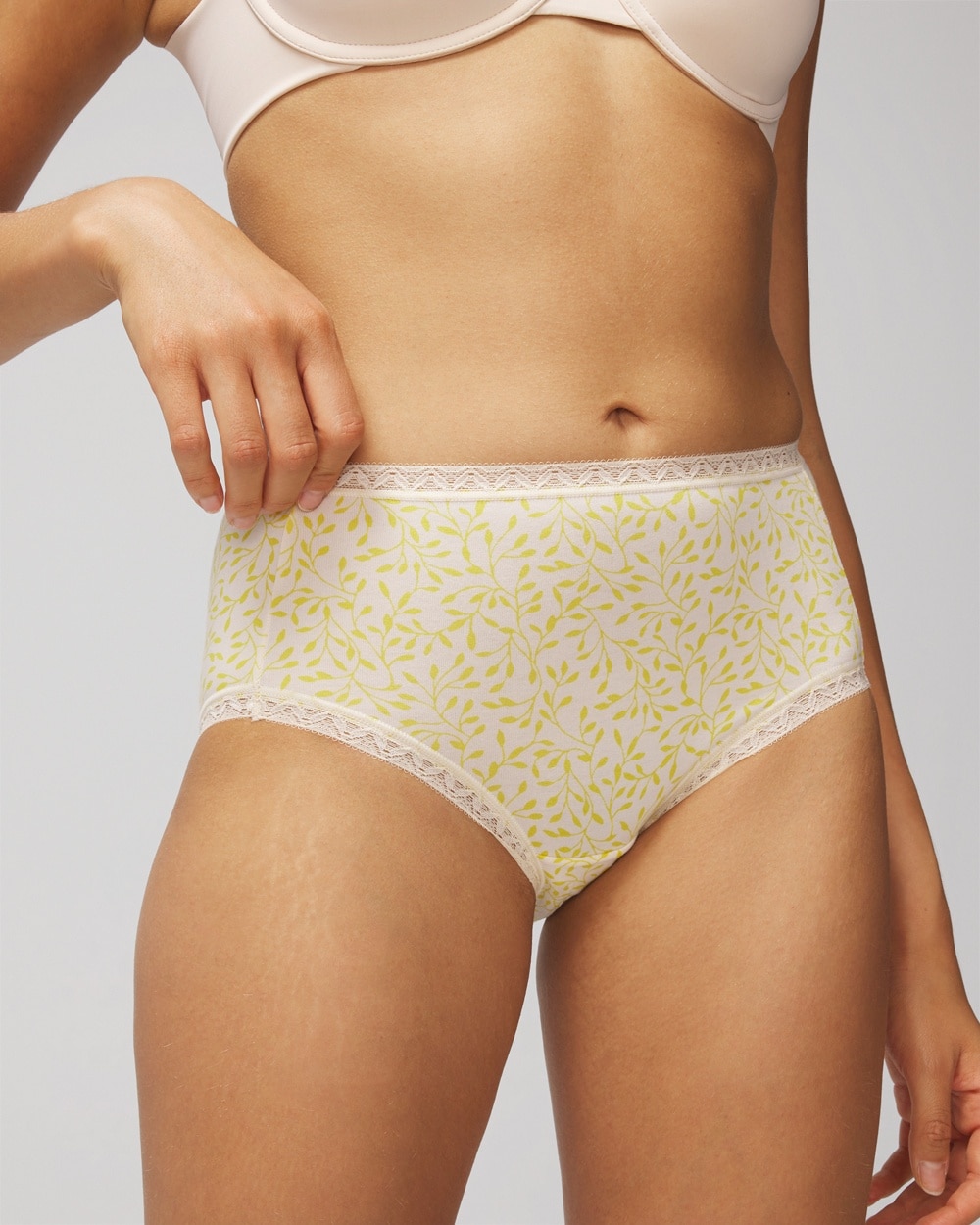 Shop Soma Women's Cotton Modal Brief Underwear In Fleur Vine Mid Ws/lime Size Xl |