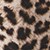 Show Divine Leopard Mini W Blk for Product