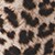 Show Divine Leopard Mini W Blk for Product