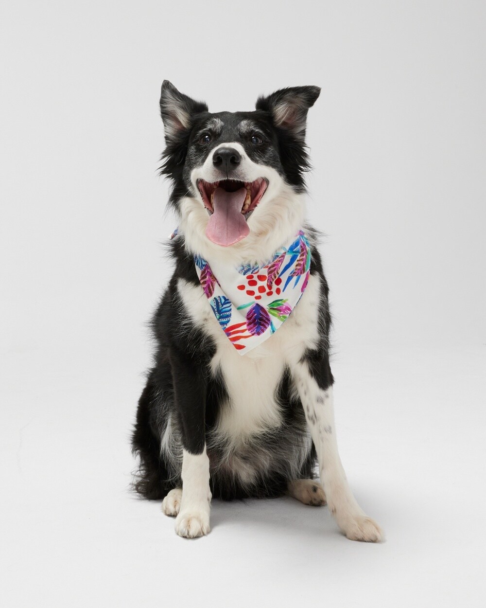 Family Pajamas Pet Bandana