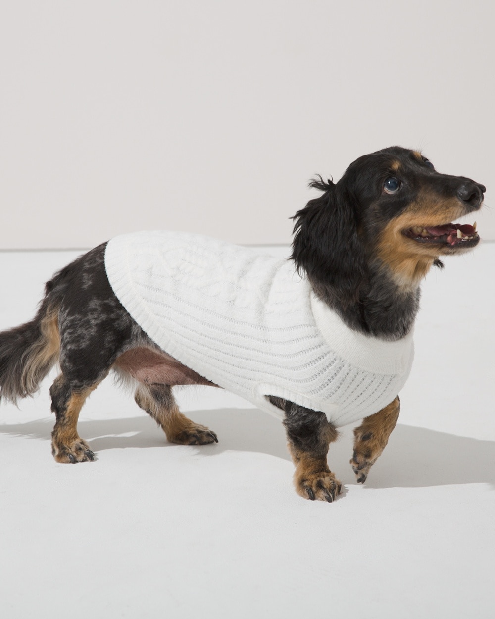 Marshmallow Knit Pet Sweater