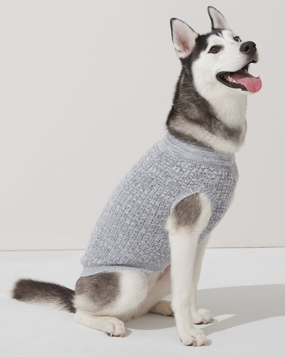 Marshmallow Knit Pet Sweater