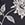 Show MEANDERING GARDEN M NAVY for Product
