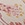 Show STITCH PAISLEY M CHAMP for Product
