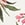 Show CAMELLIA ROSE MULTIPACK for Product