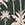 Show ZEST PALMS LUSH EMERALD for Product