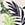 Show LUSH BOTANICALS WHITE SM for Product