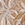 Show COCONUT ON SNDLWOOD MESH for Product