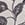 Show MEANDERING GARDEN M CHAM for Product