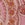Show SHOW OFF PAISLEY P GUAVA for Product