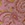 Show SHOW OFF PAISLEY P GUAVA for Product