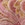 Show SHOW OFF PAISLEY P GUAVA for Product