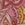 Show SHOW OFF PAISLEY P GUAVA for Product