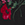 Show RHAPSODY FLORA BLACK for Product