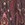 Show Eccentric Stripe Marsala for Product