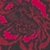 Show Lace Floral Blk W Raphael for Product