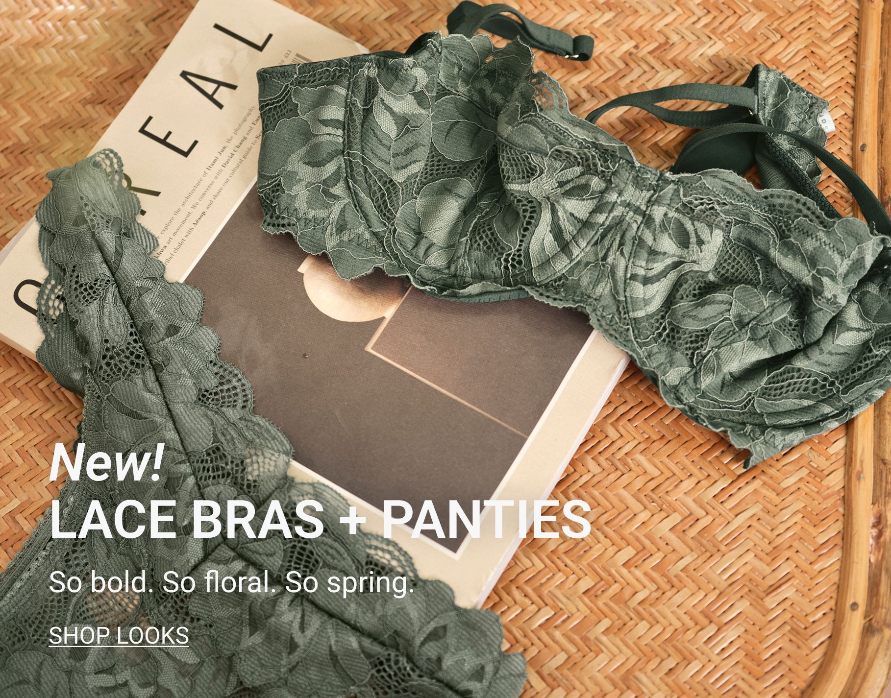 New Lace Bras and Panties