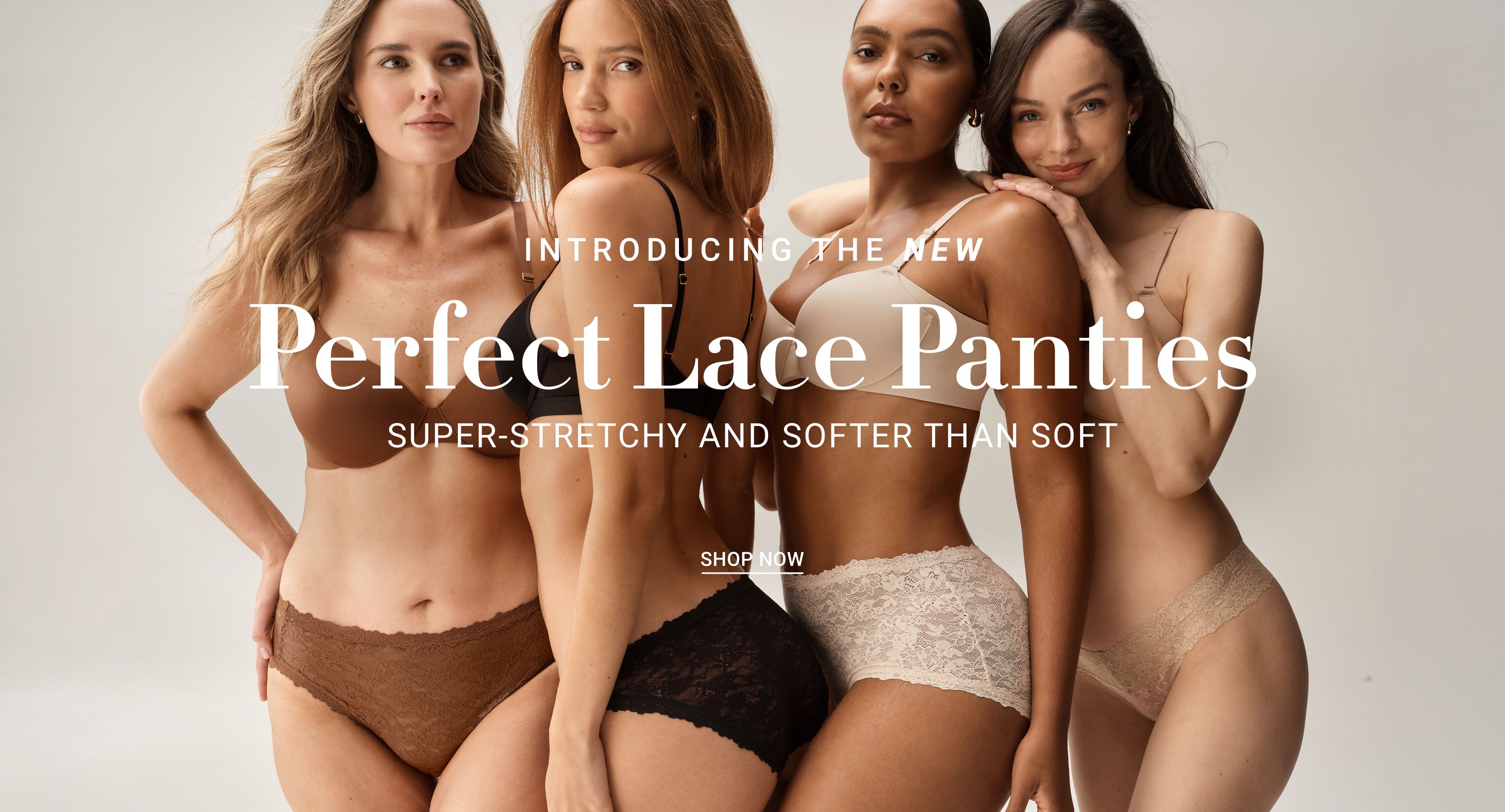 Perfect Lace Panties