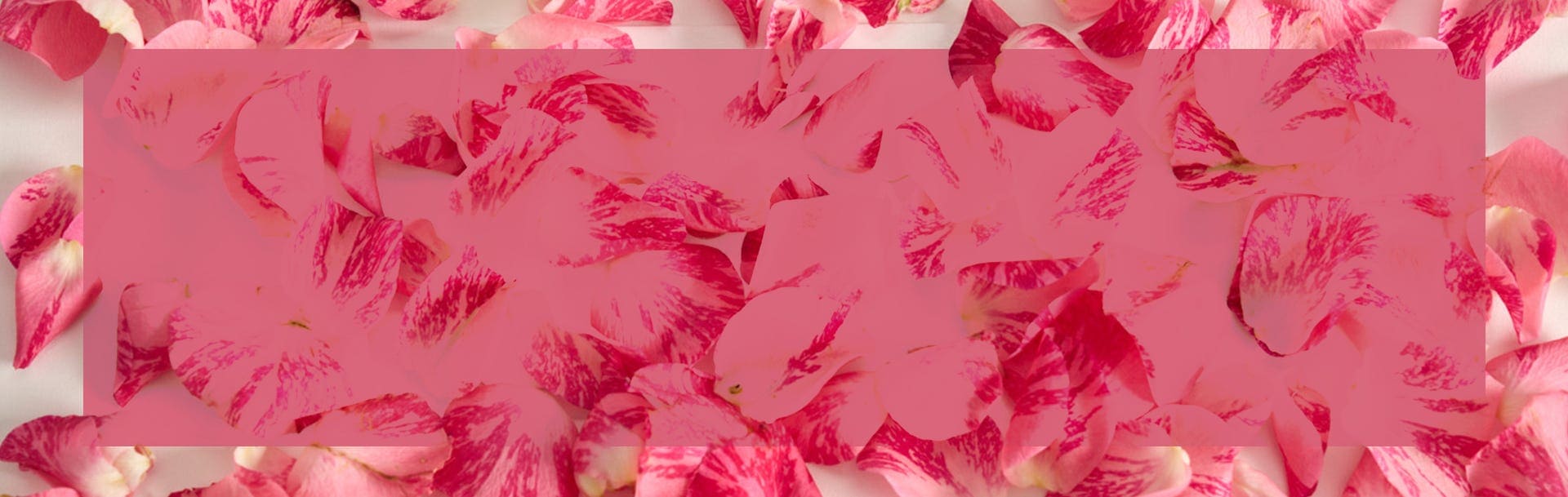 Extra 40% Off Markdowns