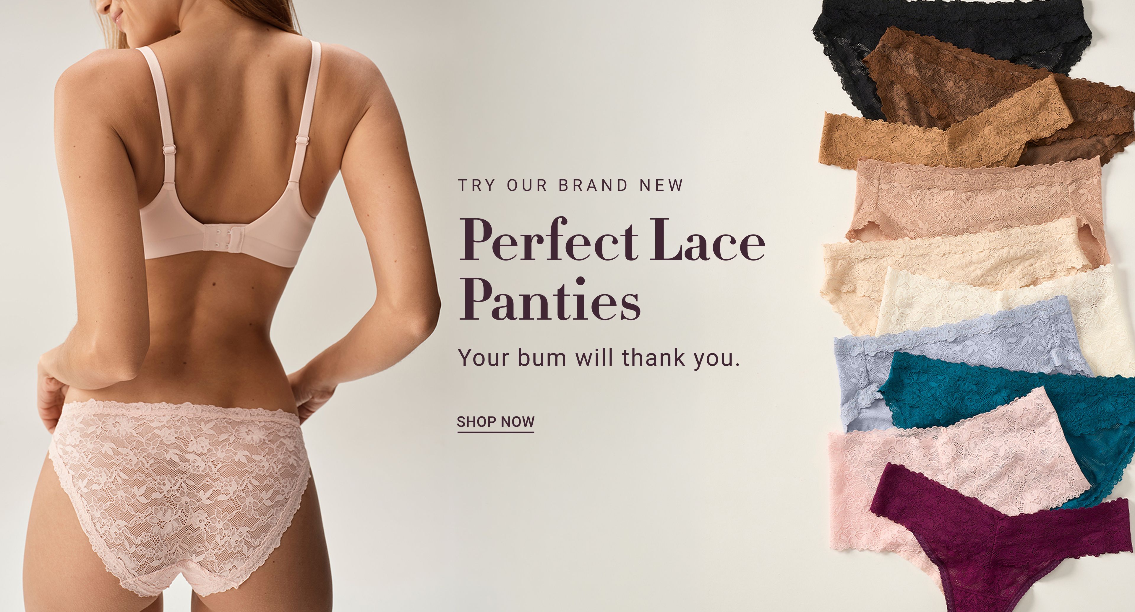 Perfect Lace Panties