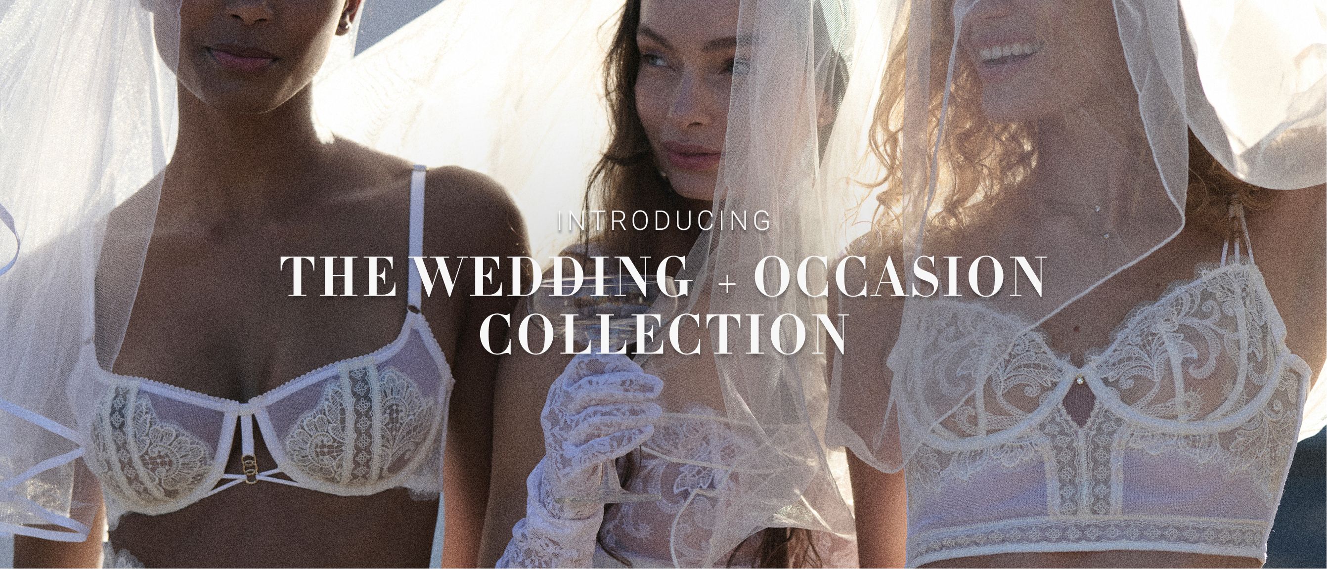 Wedding and Special Occasion Collection