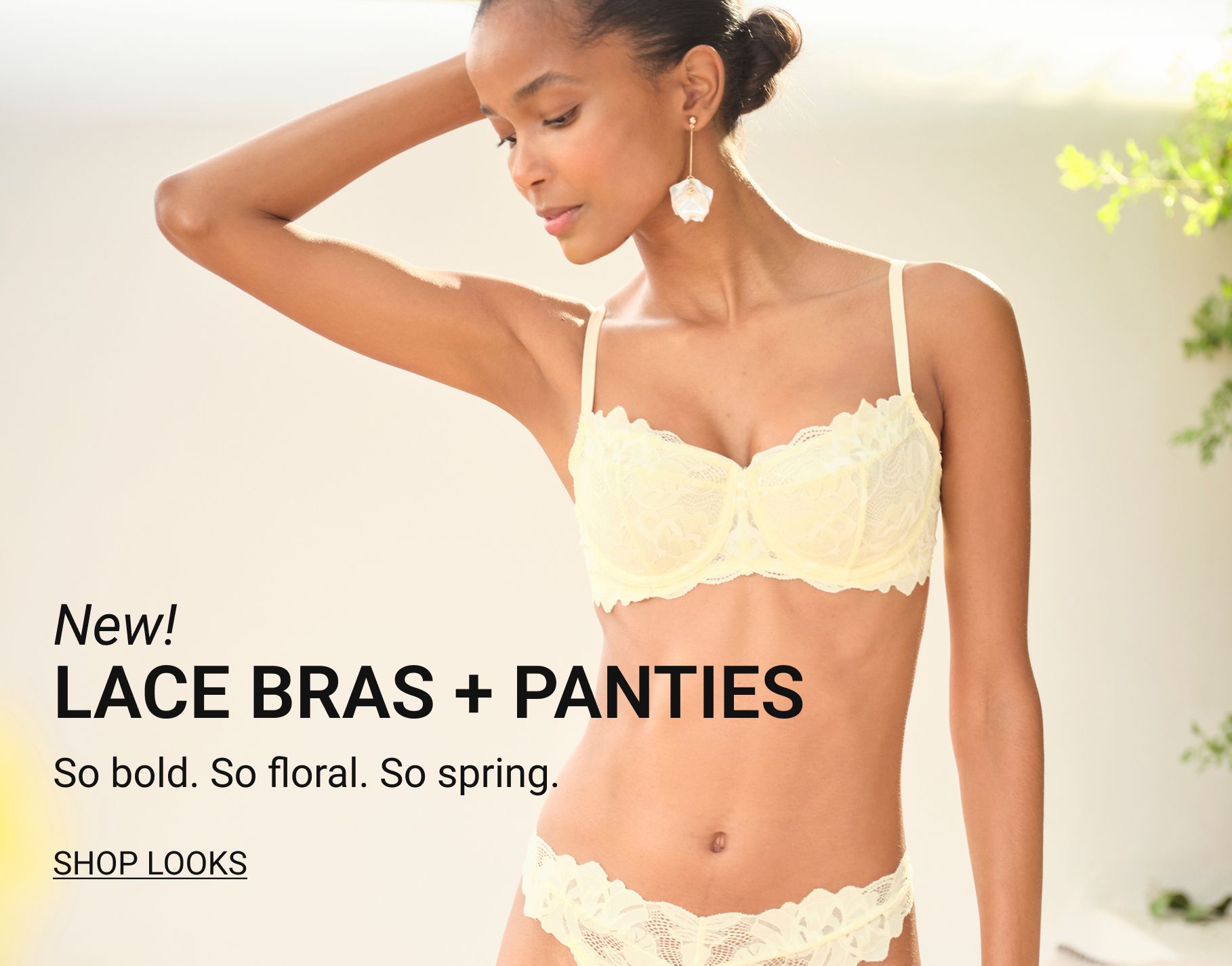 New Lace Bras and Panties