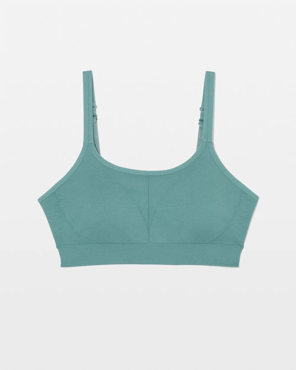 Seamless Bra click to view larger image.