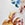 BLOOMING TROPICAL DITSY