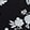 BERGAMOT BLOOMS BLACK