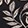 ECLIPSE FLORAL MINI BLACK
