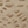 PALE SAND