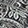 PASSION PAISLEY M BLK/GRN