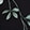 TRAILING VINES BLACK