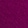 MAGENTA ORCHID