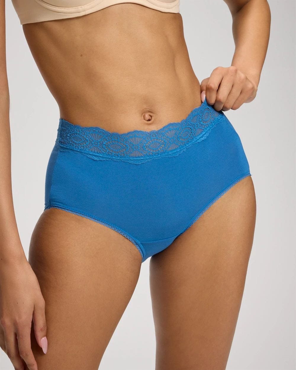 Embraceable Modern Brief Panty with Crochet Lace